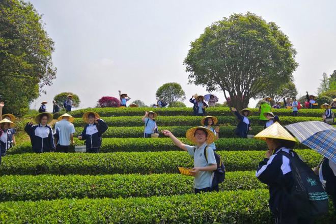 办好“第一中学”｜生命至上，教育“要允许萝卜地里长白菜”