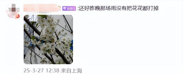上海凌晨突发预警！冷空气已到达，大风大雨来袭…天气即将反转，下周冲到26℃