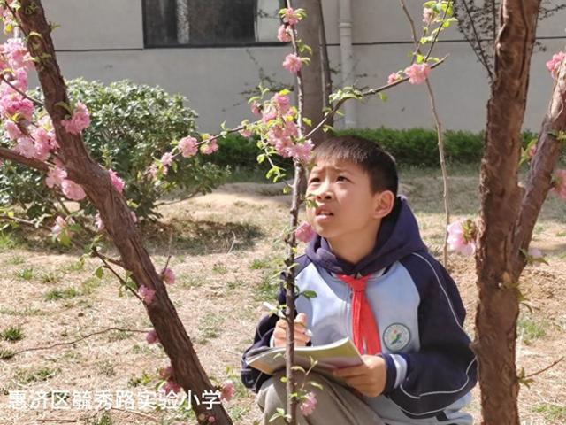 惠济区毓秀路实验小学开展制作花朵标本活动