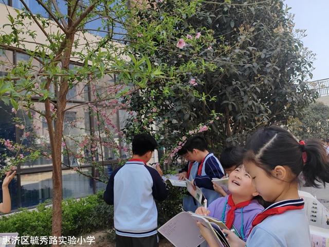 惠济区毓秀路实验小学开展制作花朵标本活动