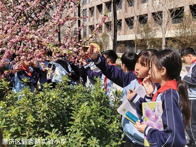 惠济区毓秀路实验小学开展制作花朵标本活动