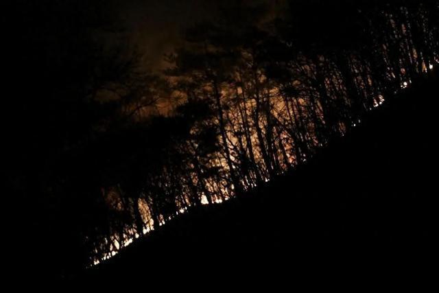 超70人伤亡，近7000人流离失所！韩国多地山火复燃