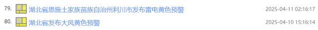 连发80条预警！8到10级雷暴大风，马上到湖北！