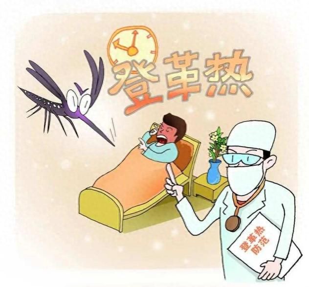 提醒！五一出境游需警惕这两种蚊媒传染病