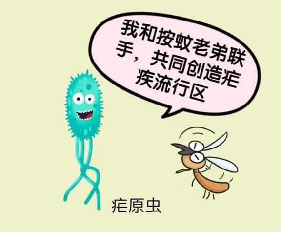 提醒！五一出境游需警惕这两种蚊媒传染病