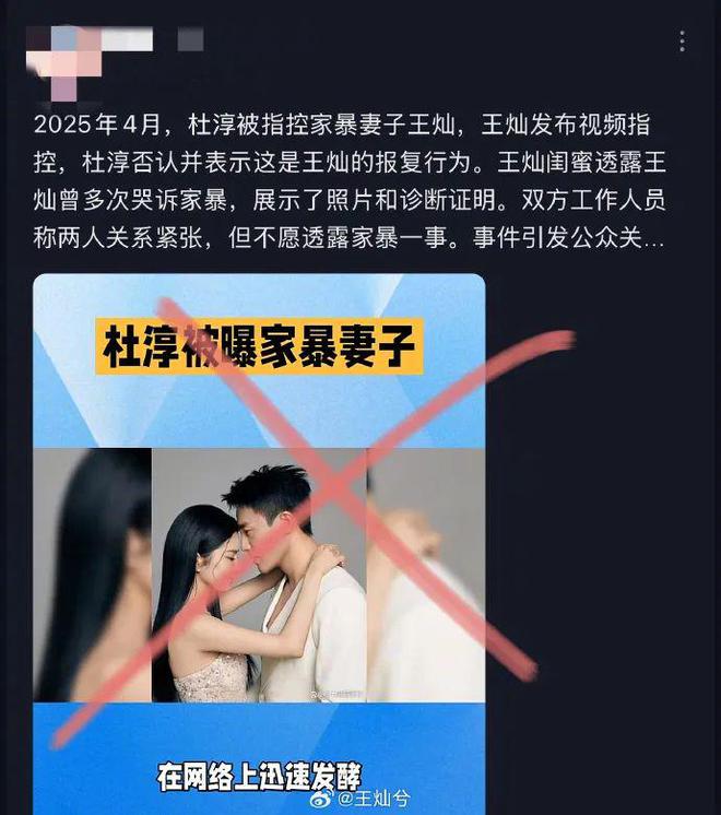 杜淳妻子王灿否认被家暴