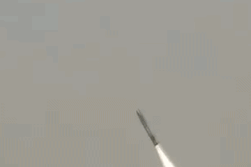 印巴同日官宣！