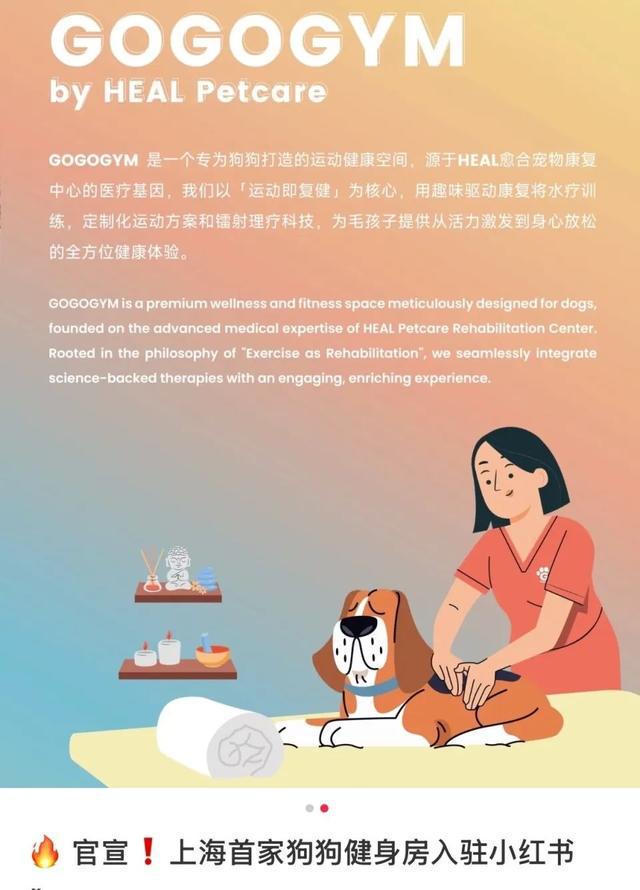 全国首家“宠物健身房””即将开业，配备泳池、宠物健身教练