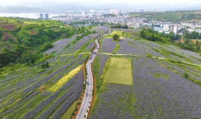 从山地“劣势”，到全省“先导”，河南嵩县的“破题”之路