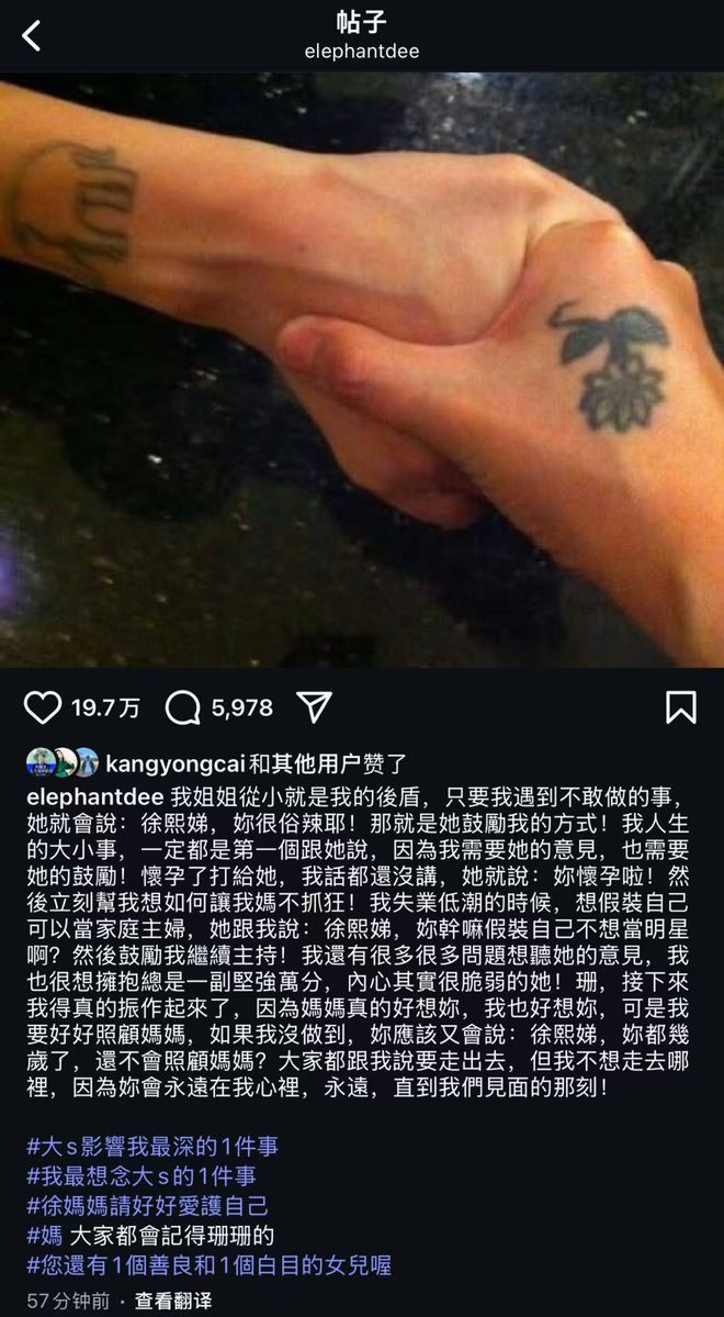 小S发起怀念大S活动，众星分享最想念大S的一件事