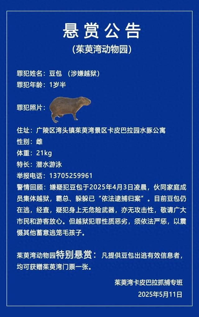 卡皮巴拉出逃，江苏一动物园发布悬赏公告