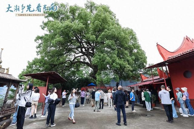 看大洲岛如何实现“影视+文旅”双向奔赴