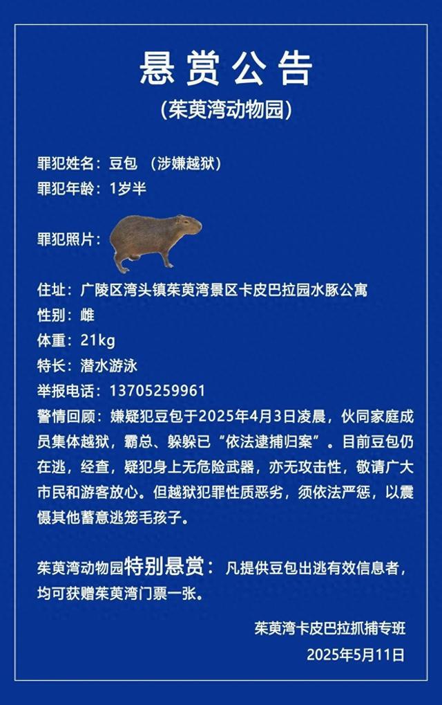 水豚出逃40天至今未归，江苏扬州一动物园发悬赏公告
