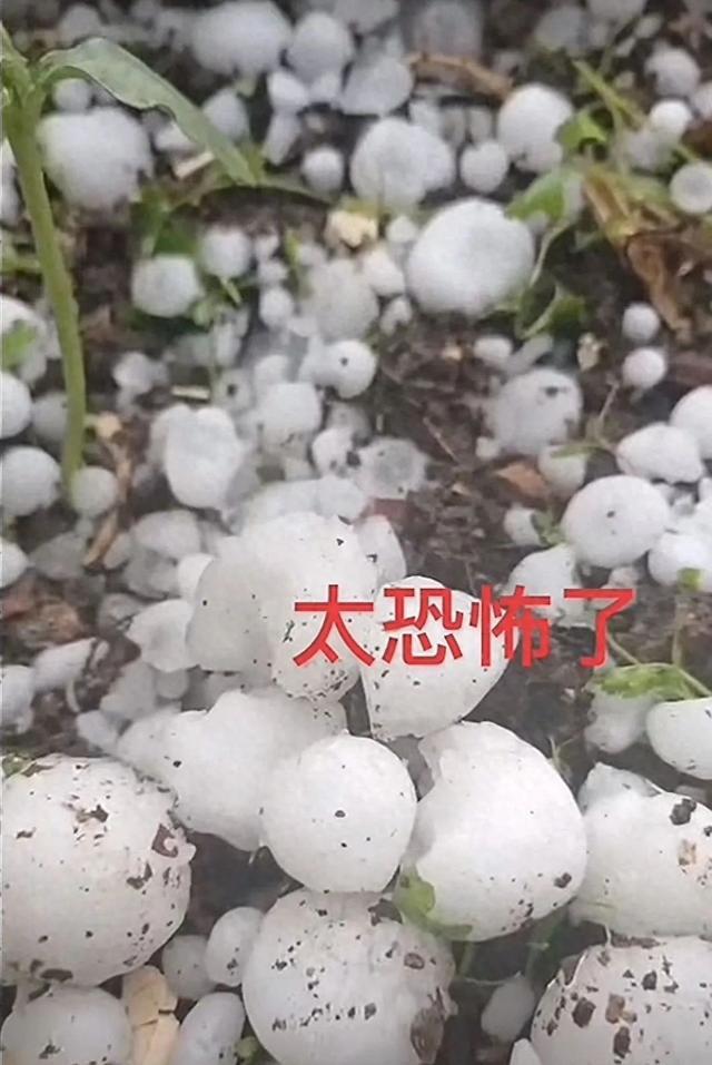 四川一地遇冰雹天气，持续近10分钟，市民：汽车前后窗玻璃被砸烂，吓得腿直抖