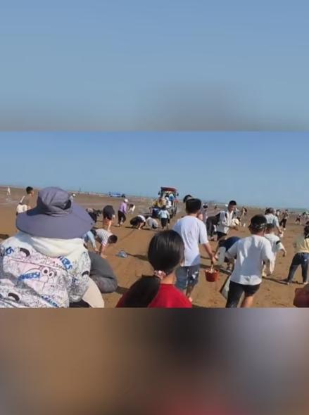 情绪价值拉满！日照撒蛤蜊、三亚赠椰子、焦作送西瓜……