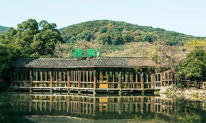 浙江老板跑出今年首个中餐连锁IPO，“初代网红”绿茶集团上市，港股消费股走出分化