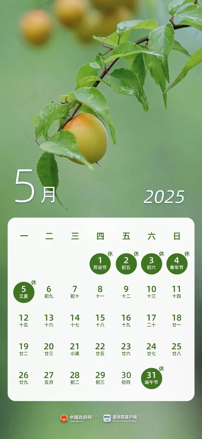 最新放假通知！不调休，不免费！