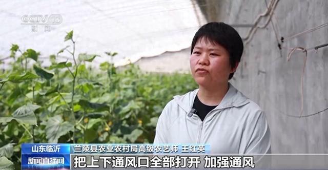 高温黄色预警！山东中北部、河北南部等局地气温达40℃
