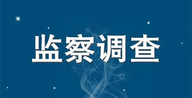 江苏省新沂市政府党组成员、副市长、新沂经济开发区党工委书记王冬被查