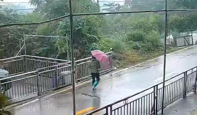 “山上都是吃的！”浏阳74岁老人走失6日奇迹生还！家人：找到时她还提醒我们别滑了