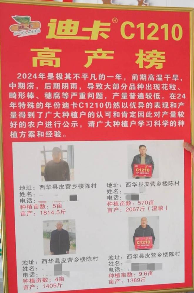 “懒汉”都能种的玉米？迪卡C1210成大户心头好