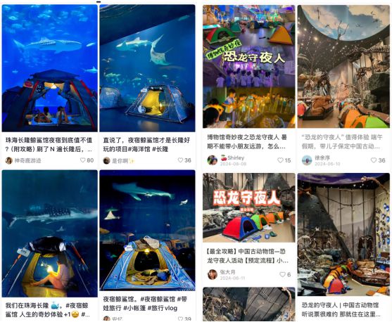古墓探秘、做恐龙的守夜人……解锁今夏最火的“博物馆奇妙夜”