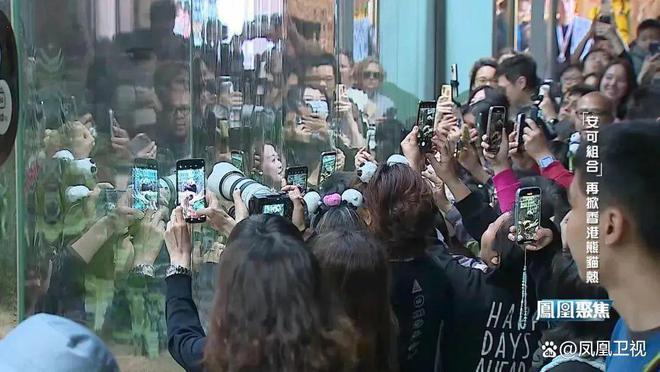 大熊猫“安安”被曝不近女色？粉丝急了：一天就知道吃吃吃！