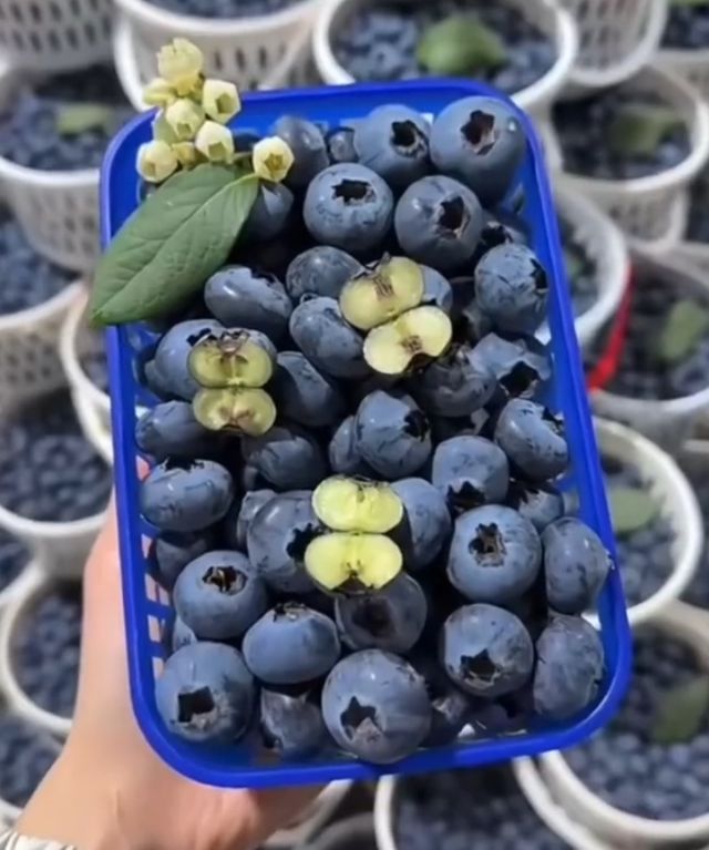 紧急提醒：可能有霉菌！江西很多人爱吃......