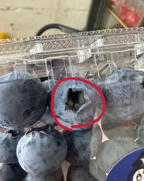 紧急提醒：可能有霉菌！江西很多人爱吃......