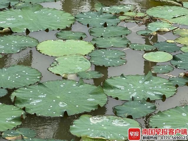 强对流天气又要来了！广西或迎狂风暴雨和冰雹