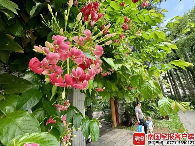 强对流天气又要来了！广西或迎狂风暴雨和冰雹