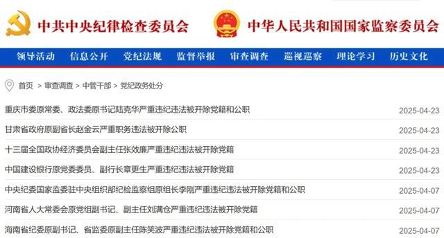 中央纪委国家监委发布通报