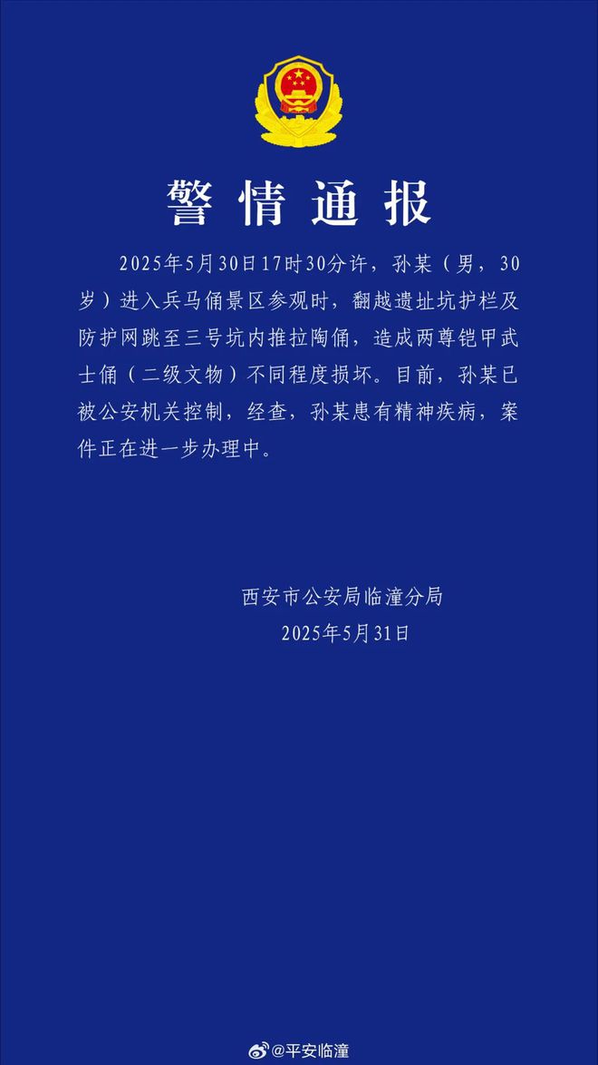 警方通报：男子跳至兵马俑坑内，造成两尊铠甲武士俑损坏，其患有精神疾病