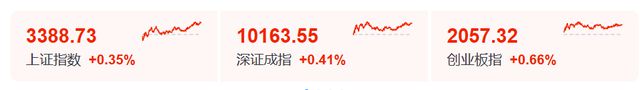 突发利好！全线大涨！