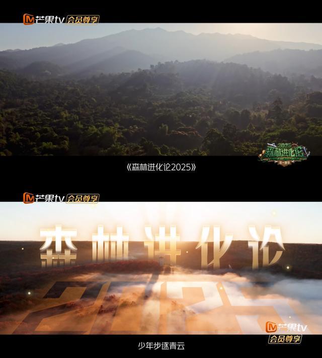 《森林进化论2025》定档！新老玩家开启脑力博弈