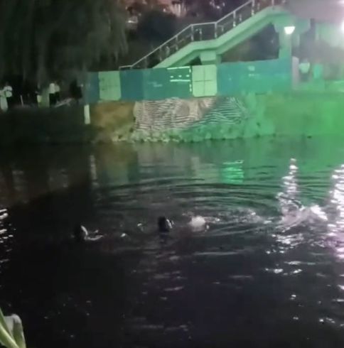 少年疑因家庭矛盾跳桥，岳阳的哥路过救起获公司奖励1000元：举手之劳，这不是事