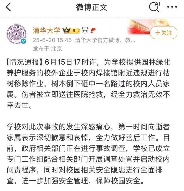清华大学回应“张爱玲教授被树砸身亡”：已启动问责程序