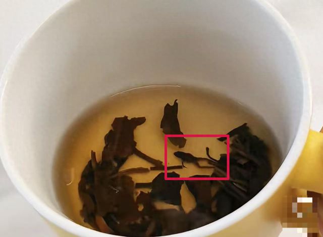 奈雪的茶被曝喝出青蛙，市场监督管理局已介入