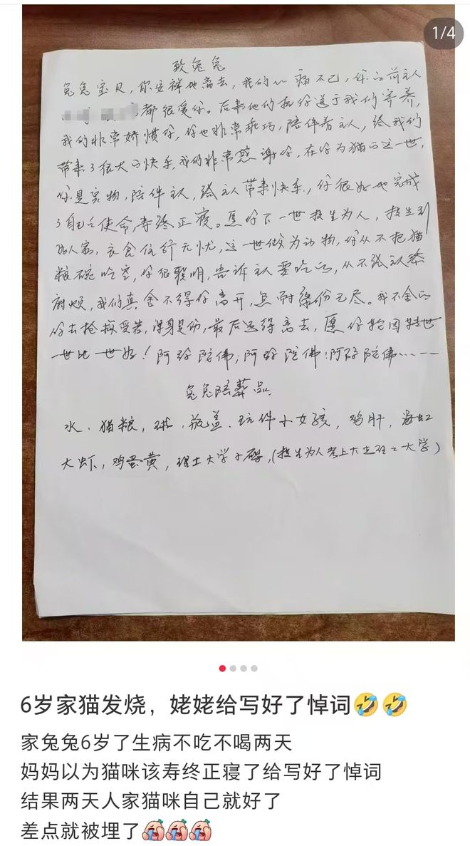 女子6岁的小猫发烧不吃不喝，母亲误认为将离世准备悼词：希望猫咪来世考上大连理工