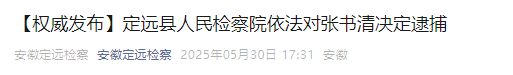 涉嫌严重违纪违法，汪龙主动投案！周鑫、张书清被逮捕！