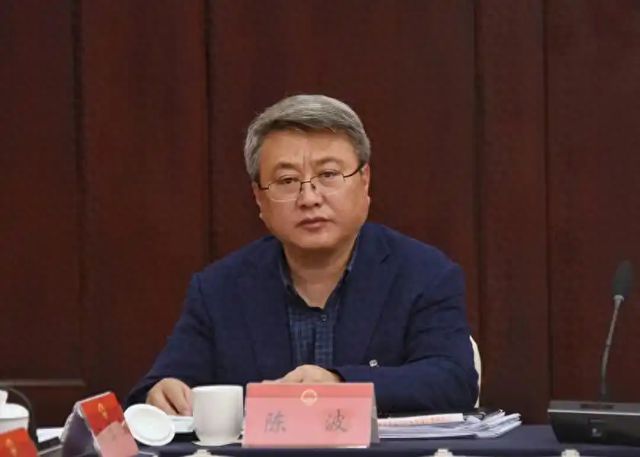 刚免职就被查的厅官陈波，被“双开”！