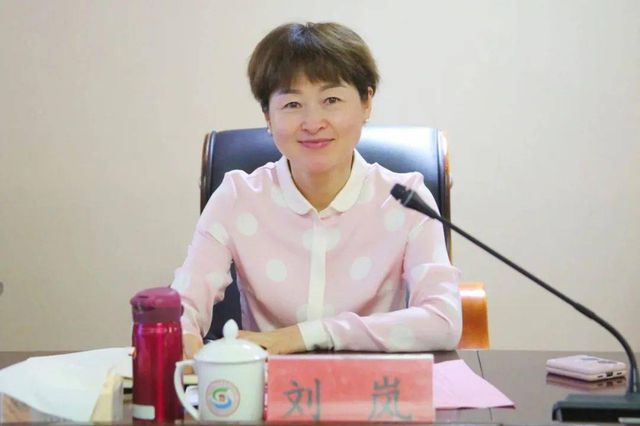 贵阳市原副市长刘岚，严重违纪违法被查