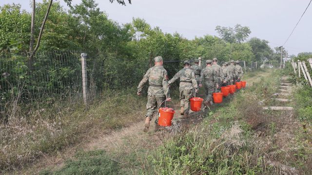 潢川县：乡村果农“愁”满天  民兵出“机”情满园