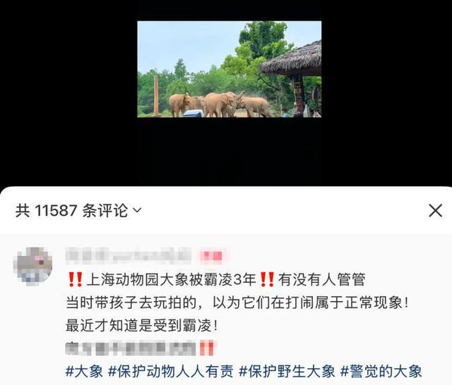 最新！上海野生动物园紧急辟谣：小象“丹妮”遭霸凌、被安乐死？回应！