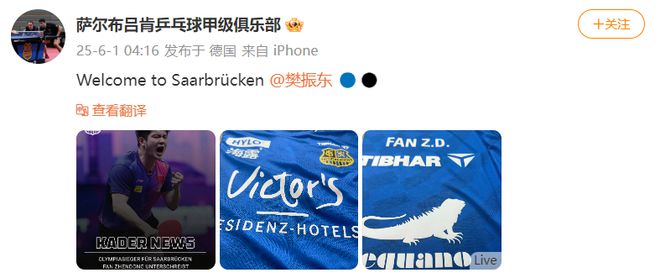 樊振东谈东京奥运会失利后转变：努力让时间慢下来，珍惜当下