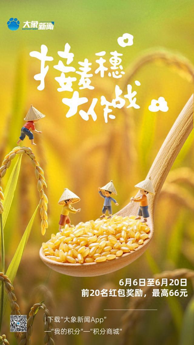 “接麦穗大作战”今天开启！来积分商城，最高赢66元红包