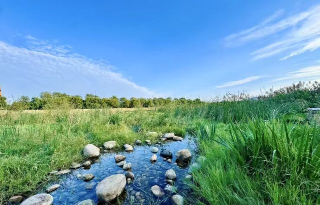 全国首条“司法+科普”绿色研学专线在河南西峡启航