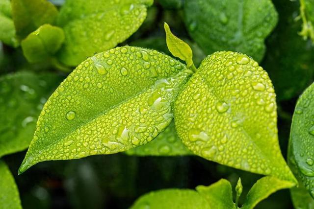 西安高考期间降雨，具体时段区域公布