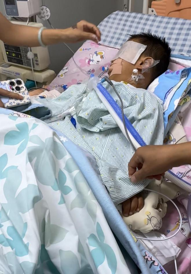 湛江三岁男童扁桃体手术后脑死亡，母亲：半个月没醒了，苏醒意识微乎其微，除非有奇迹