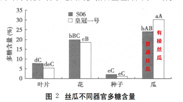 这种蔬菜嫩了能吃、老了能用，热量低还超补水
